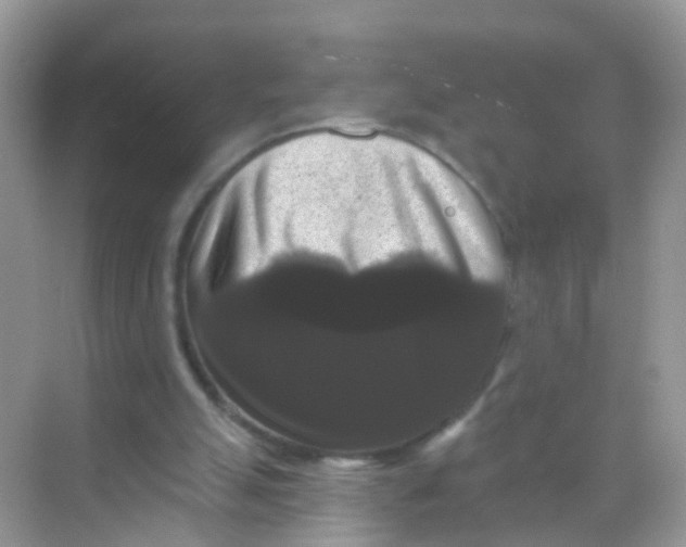 X0000068290055200605121948