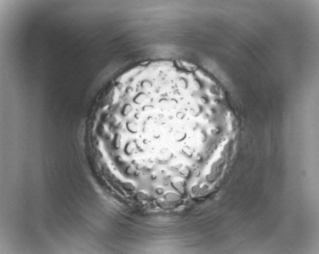 X0000068290058200605121948