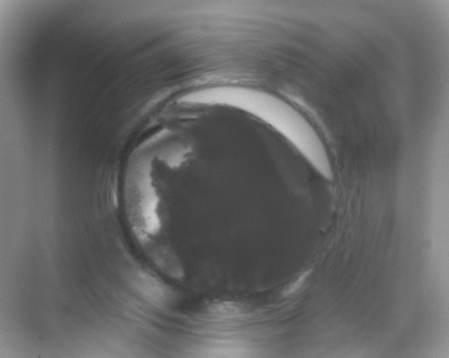X0000068290062200605121949