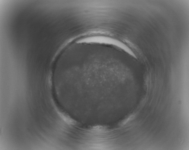 X0000068290064200605121949