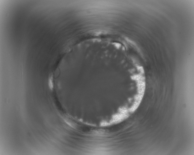 X0000068290069200605121949