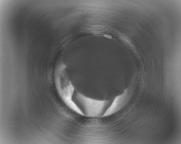 X0000068290073200605121949