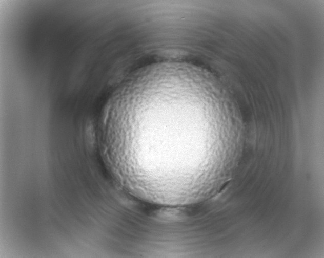 X0000068290086200605121949