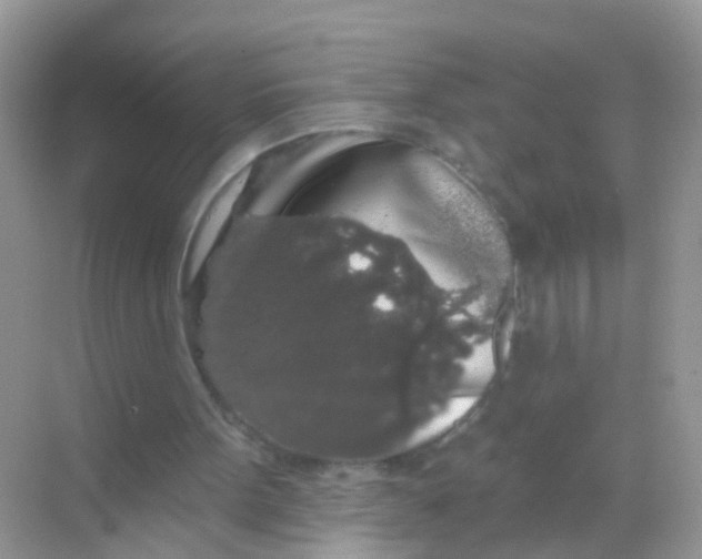 X0000068290099200605121948