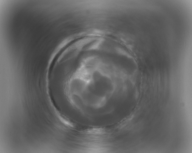 X0000068290102200605121948