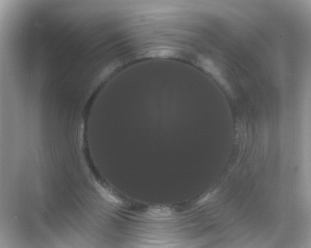 X0000068290110200605121948