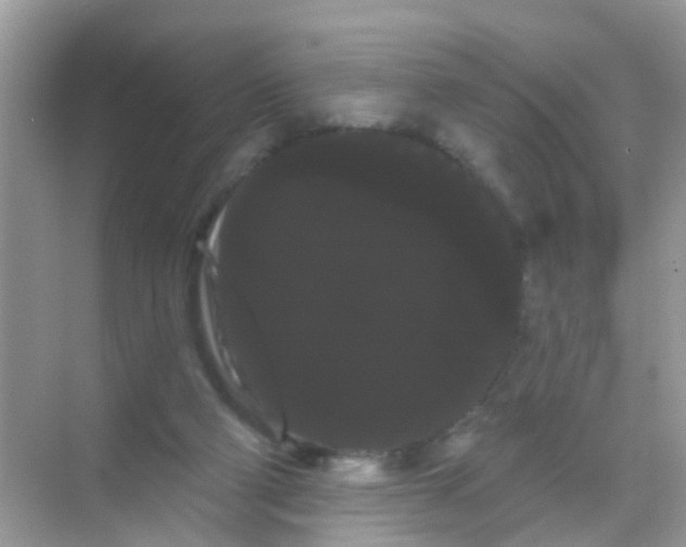 X0000068290114200605121948