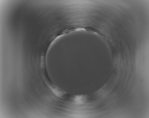 X0000068290130200605121948
