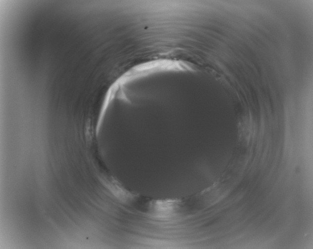 X0000068290134200605121948