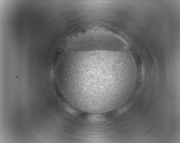 X0000068290137200605121948