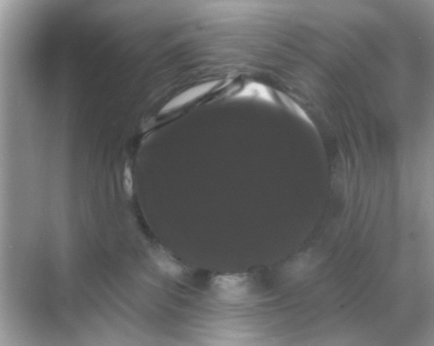 X0000068290139200605121948