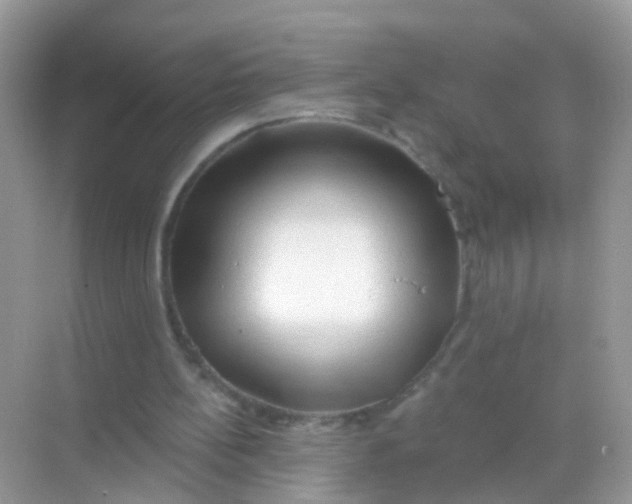 X0000068290148200605121947