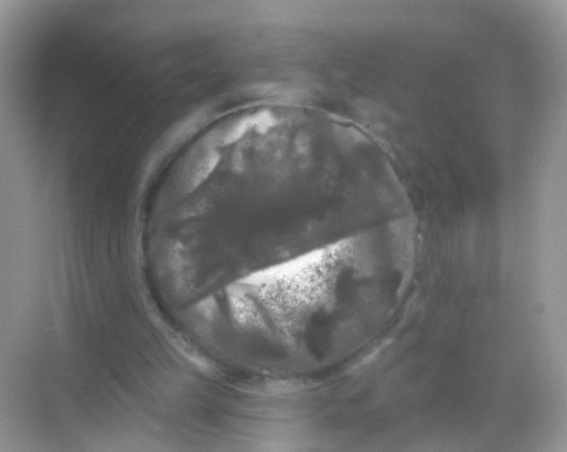 X0000068290149200605121947