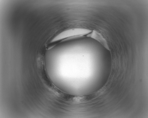 X0000068290172200605121947