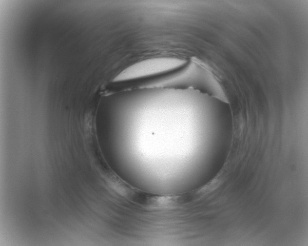 X0000068290184200605121947