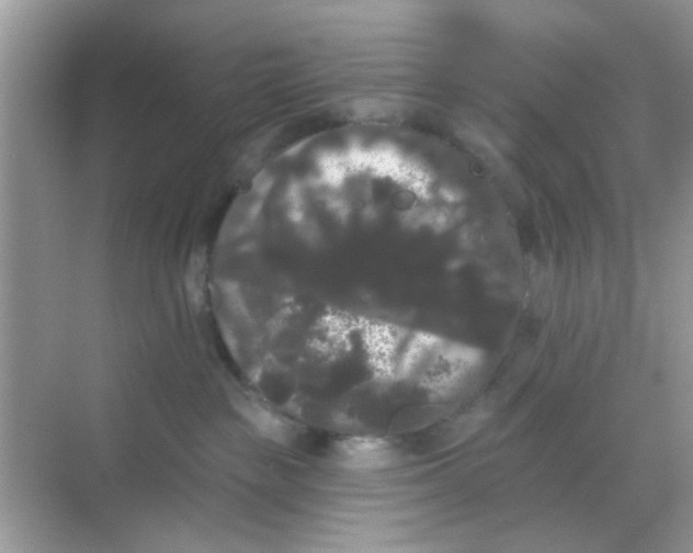 X0000068290189200605121947