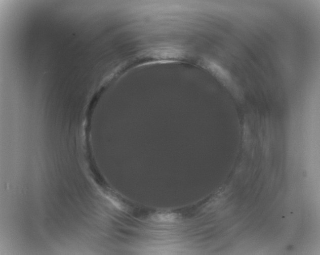 X0000068290202200605121947