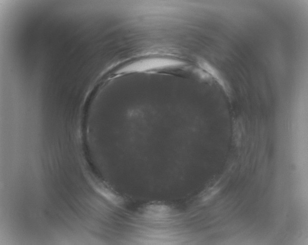 X0000068290203200605121947