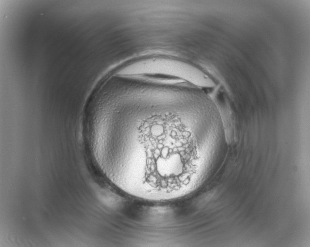 X0000068290204200605121946