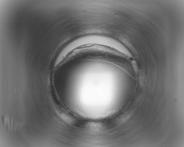 X0000068290207200605121946