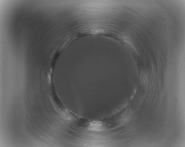 X0000068290214200605121946