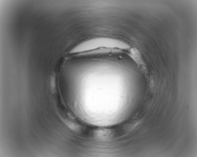 X0000068290215200605121946