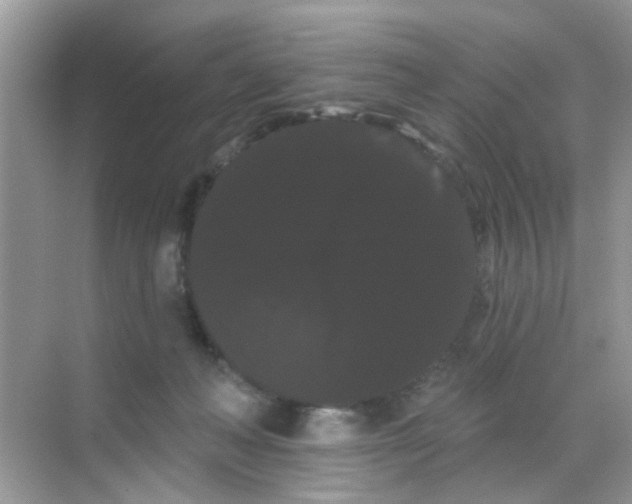 X0000068290222200605121946