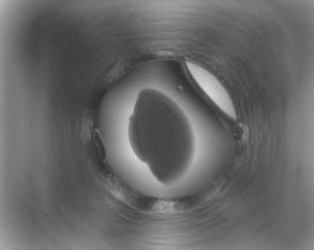 X0000068290227200605121946