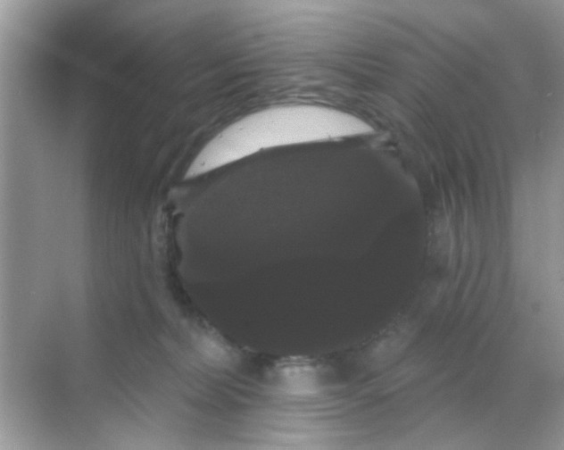 X0000068290228200605121946