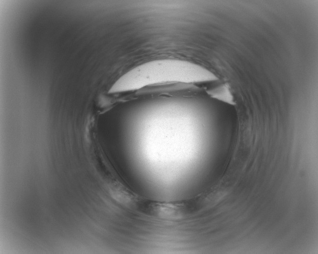 X0000068290229200605121946