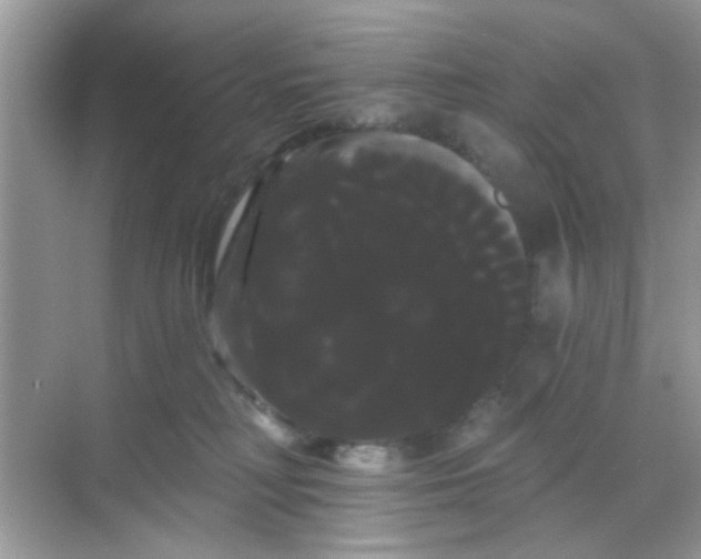 X0000068290230200605121946