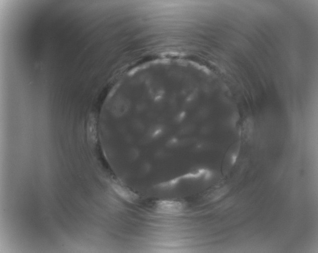 X0000068290234200605121946