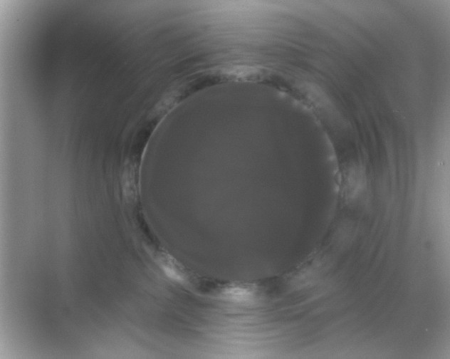 X0000068290236200605121946