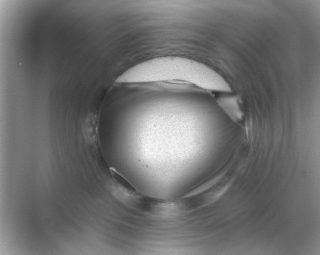 X0000068290237200605121946