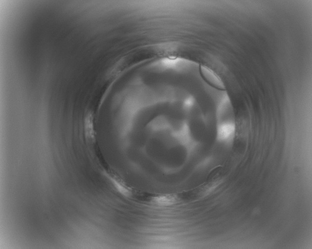 X0000068290238200605121946