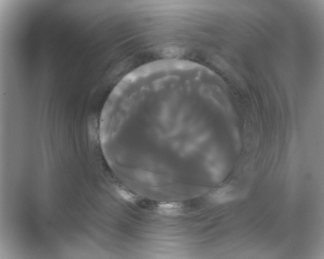X0000068290240200605121946