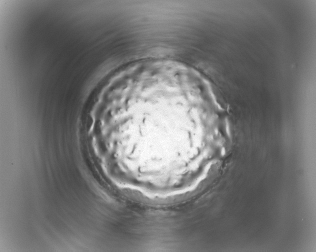 X0000068290242200605121945