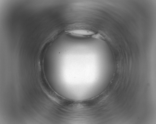 X0000068290254200605121945