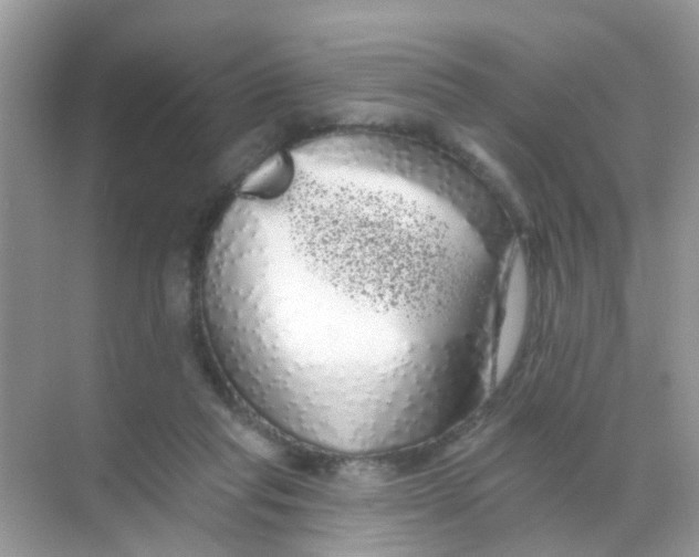X0000068290261200605121945