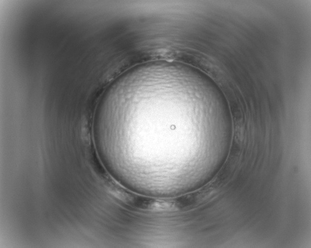 X0000068290270200605121946