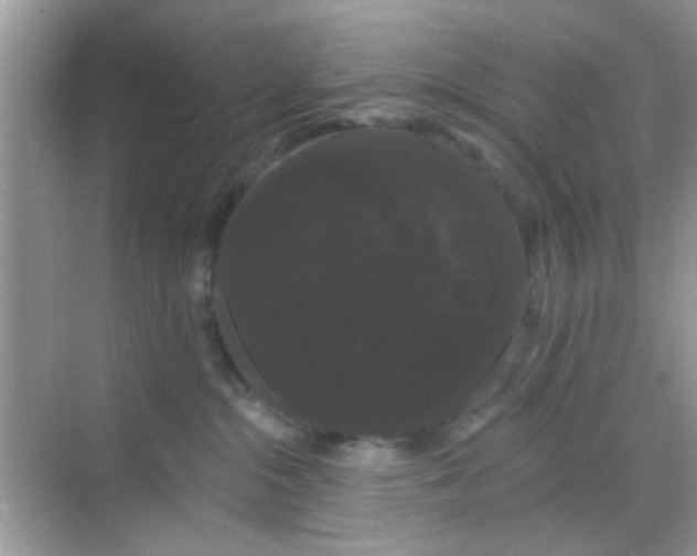 X0000068290284200605121946