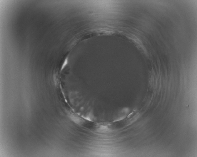 X0000068290285200605121946