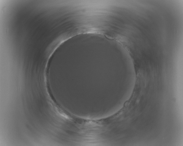 X0000068290290200605121945