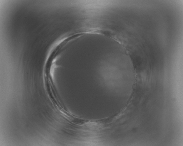 X0000068290294200605121945