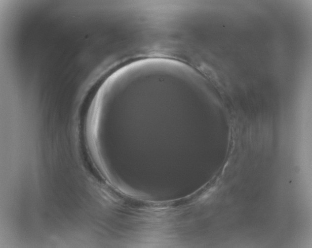 X0000068290295200605121945