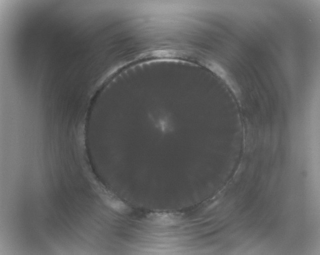 X0000068290297200605121945