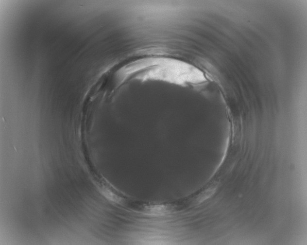 X0000068290301200605121945