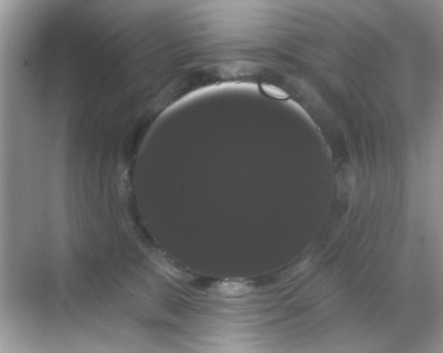 X0000068290327200605121944