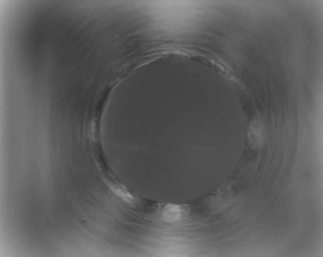 X0000068290330200605121944