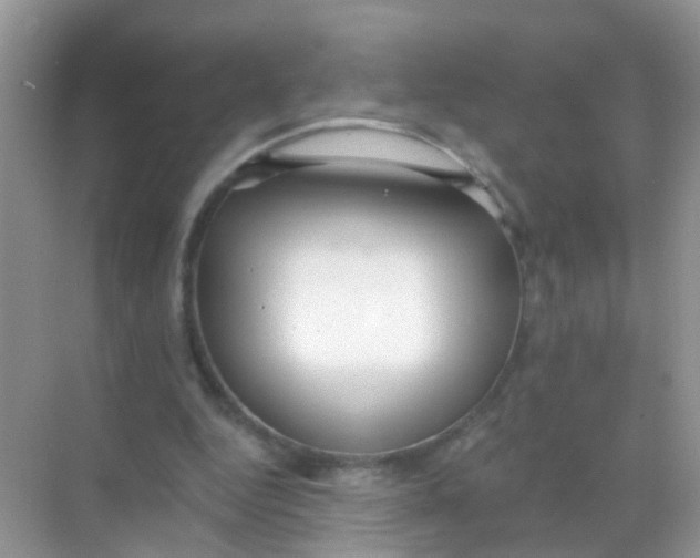 X0000068290344200605121944